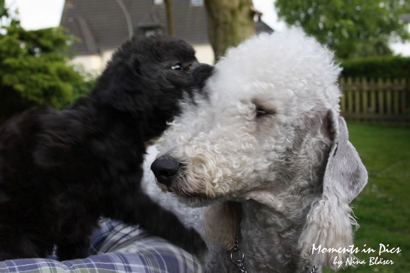 Arc-en-ciel Antares 2009-06-17 (41).JPG